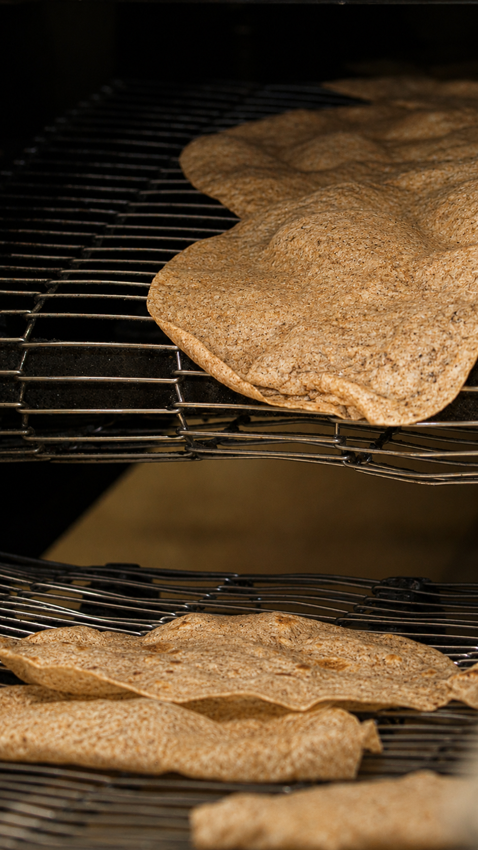Wheat Tortillas