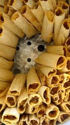 Red Chili Pork Tamales